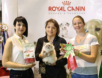    18-19  2014   4-199-169A3863 copy.jpg
